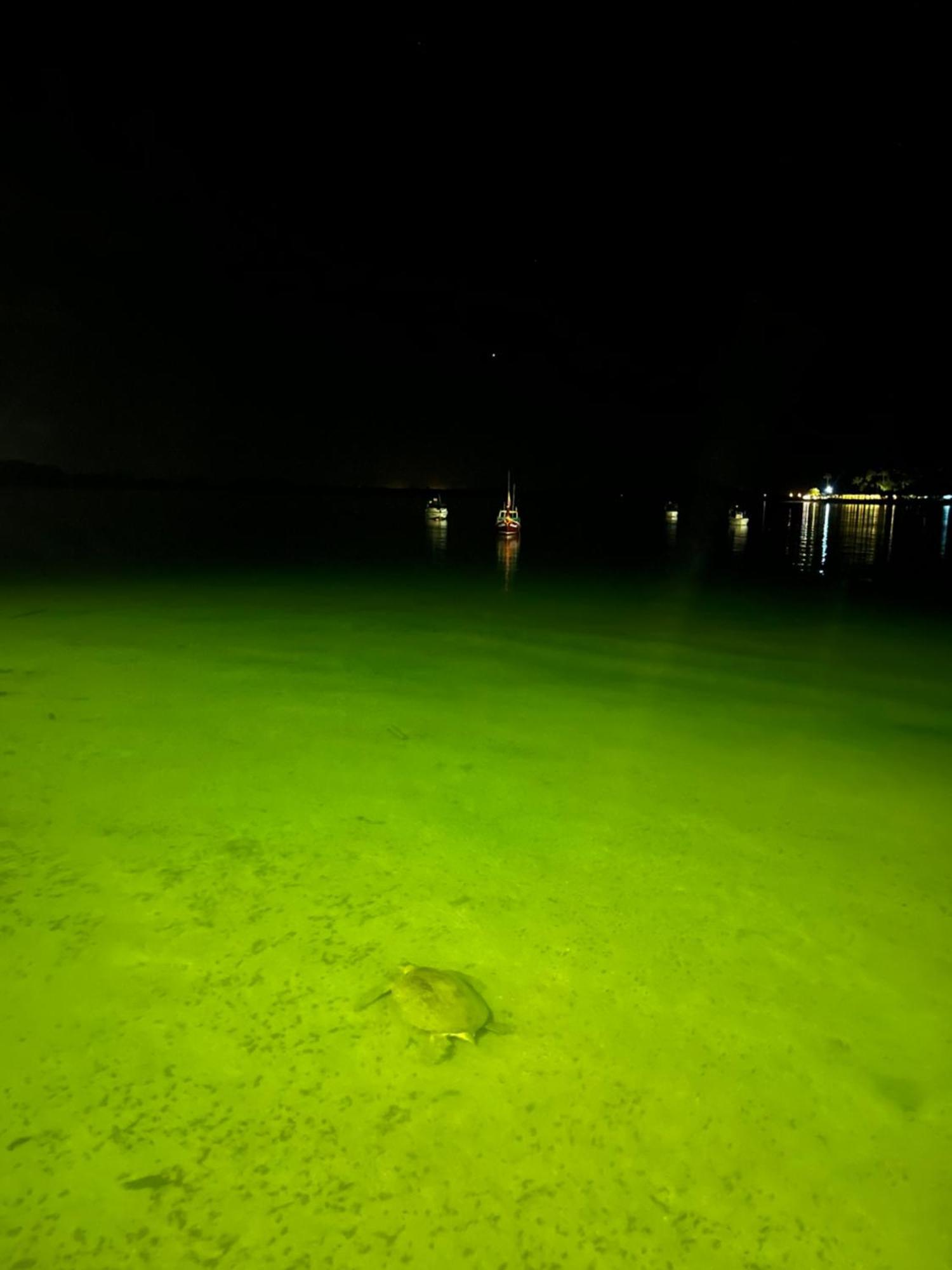 Koh Mook Garden Beach Resort Buitenkant foto